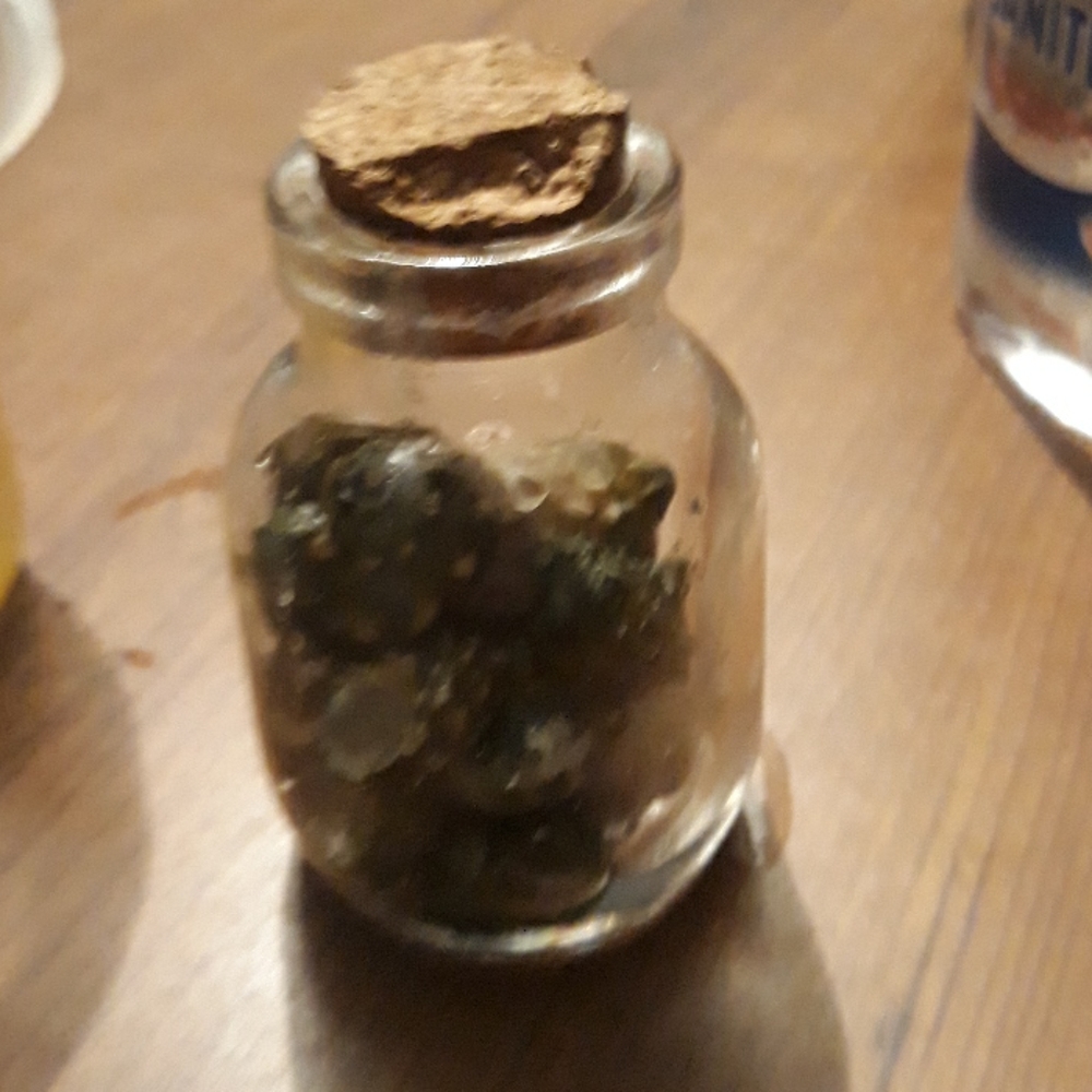 Sea shells - Picture 2 of 4